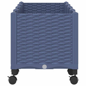 Κήπος Γλαστράκι με Ροδάκια Μπλε Γκρι 160 x 40 x 48 cm PP - Pakobazaar