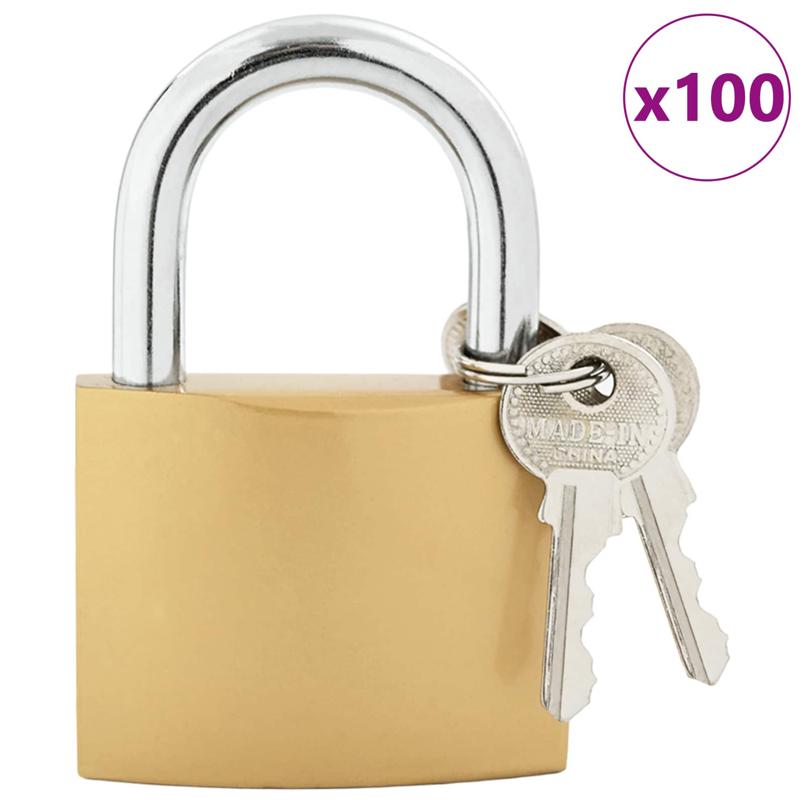Κλειδαριά U με Κλειδιά 100 pcs Ορείχαλκος Σίδερο - Pakobazaar