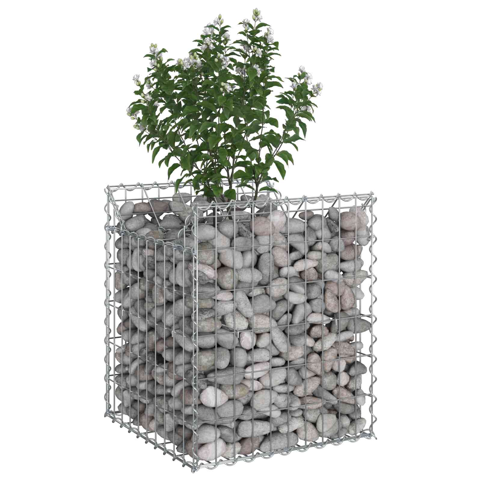 Ανασηκωμένο κρεβάτι gabion Ασημί 50 x 50 x 60 cm - Pakobazaar