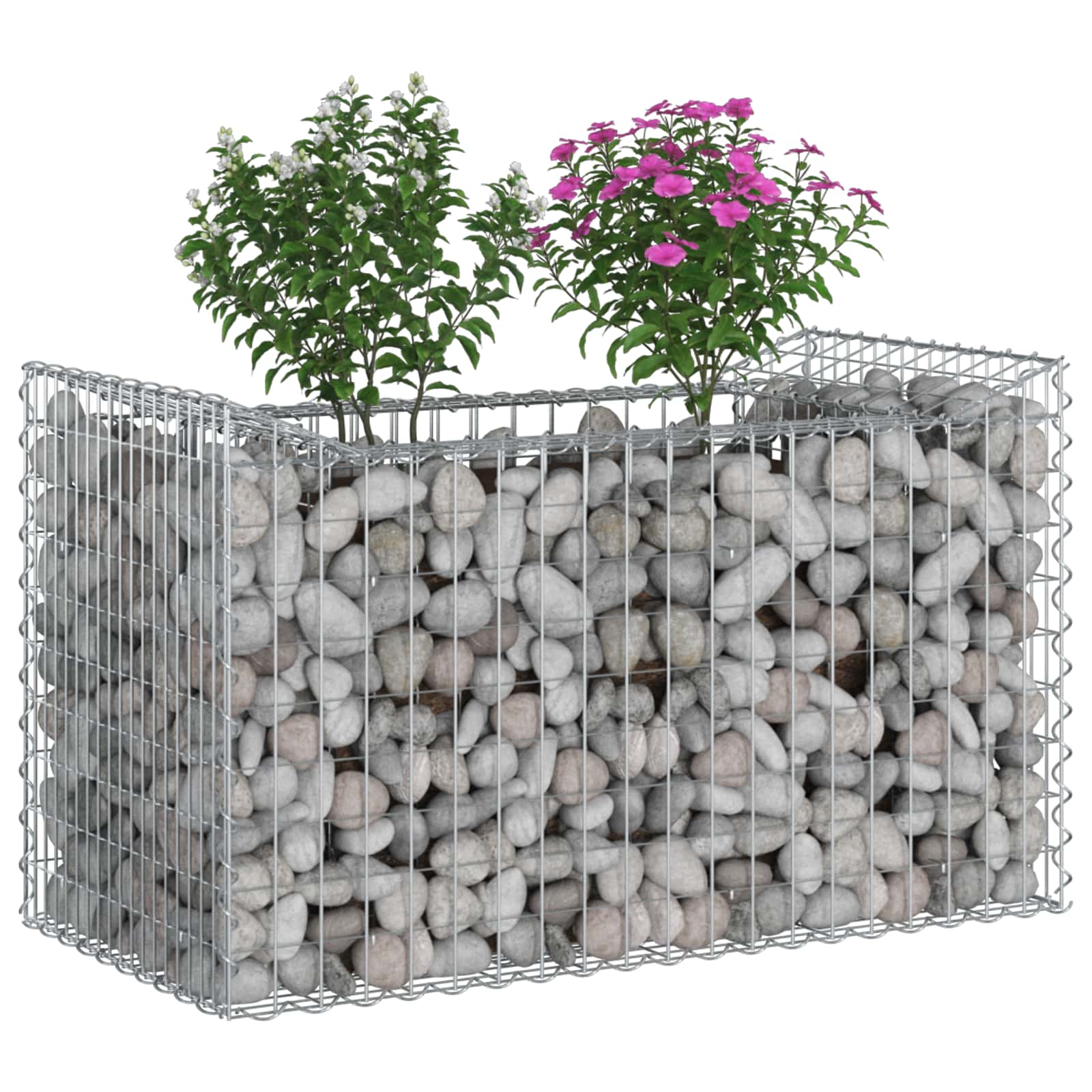 Ανασηκωμένο κρεβάτι gabion Ασημί 50 x 100 x 60 εκ - Pakobazaar