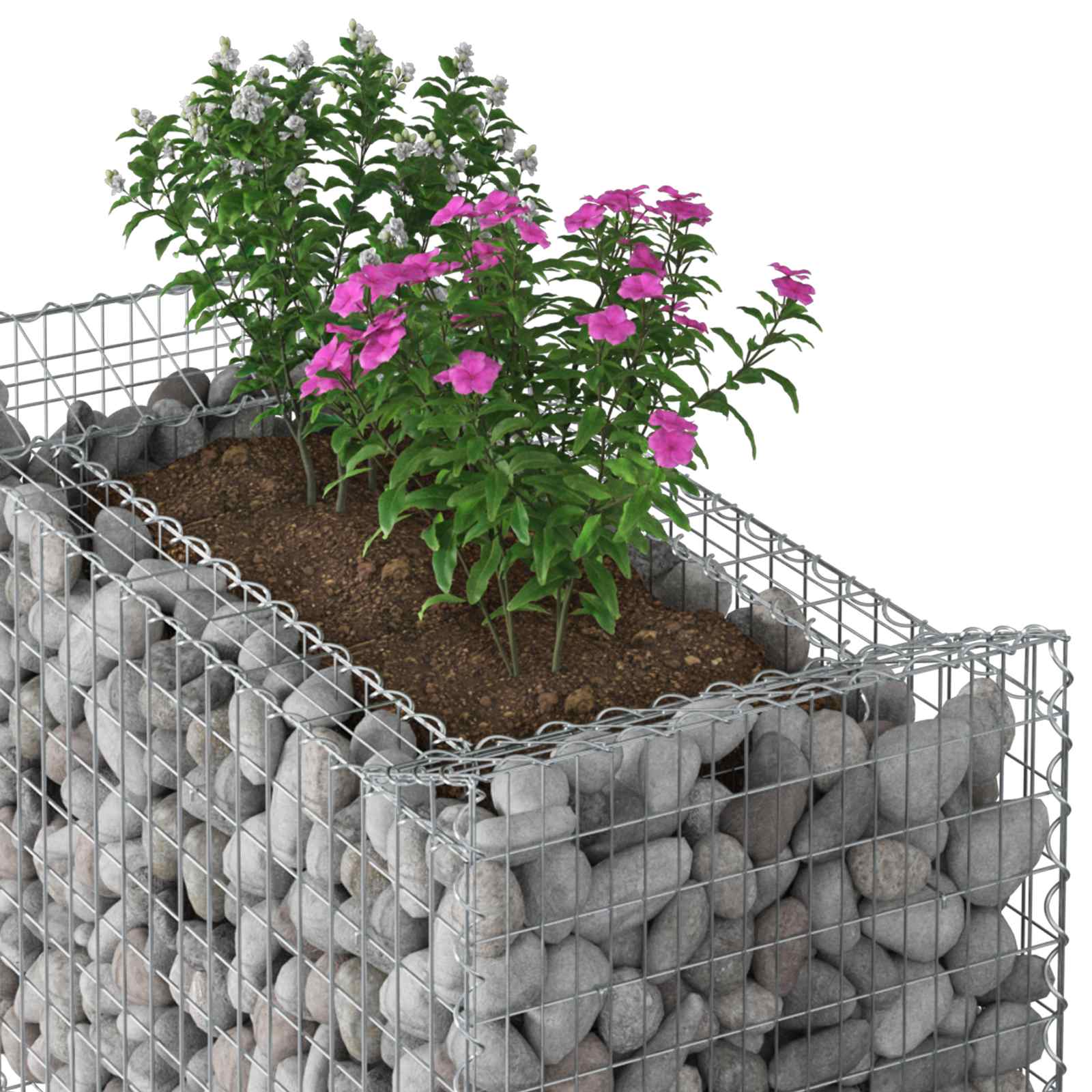 Ανασηκωμένο κρεβάτι gabion Ασημί 50 x 100 x 60 εκ - Pakobazaar