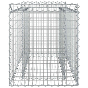 Ανασηκωμένο κρεβάτι gabion Ασημί 50 x 100 x 60 εκ - Pakobazaar