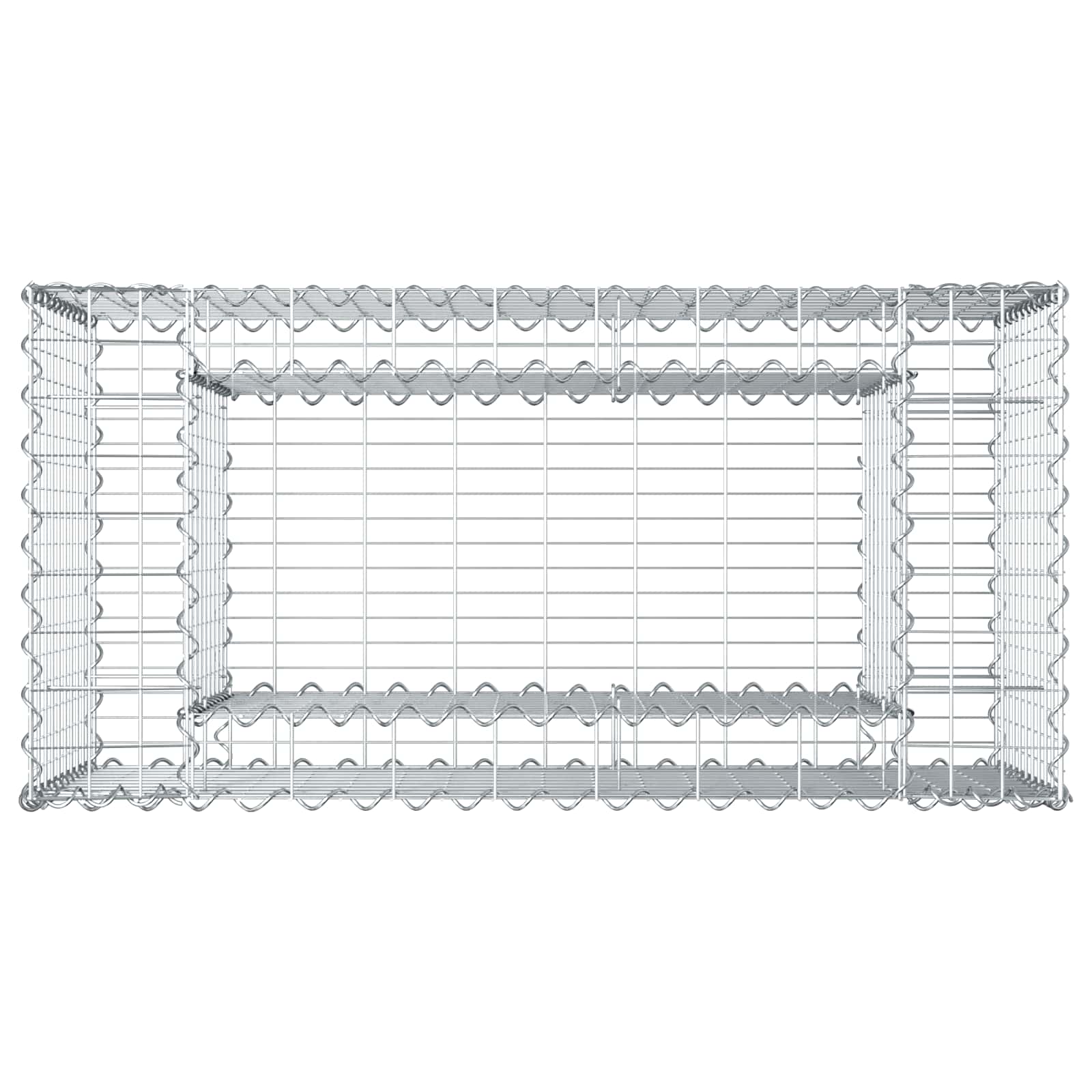 Ανασηκωμένο κρεβάτι gabion Ασημί 50 x 100 x 60 εκ - Pakobazaar