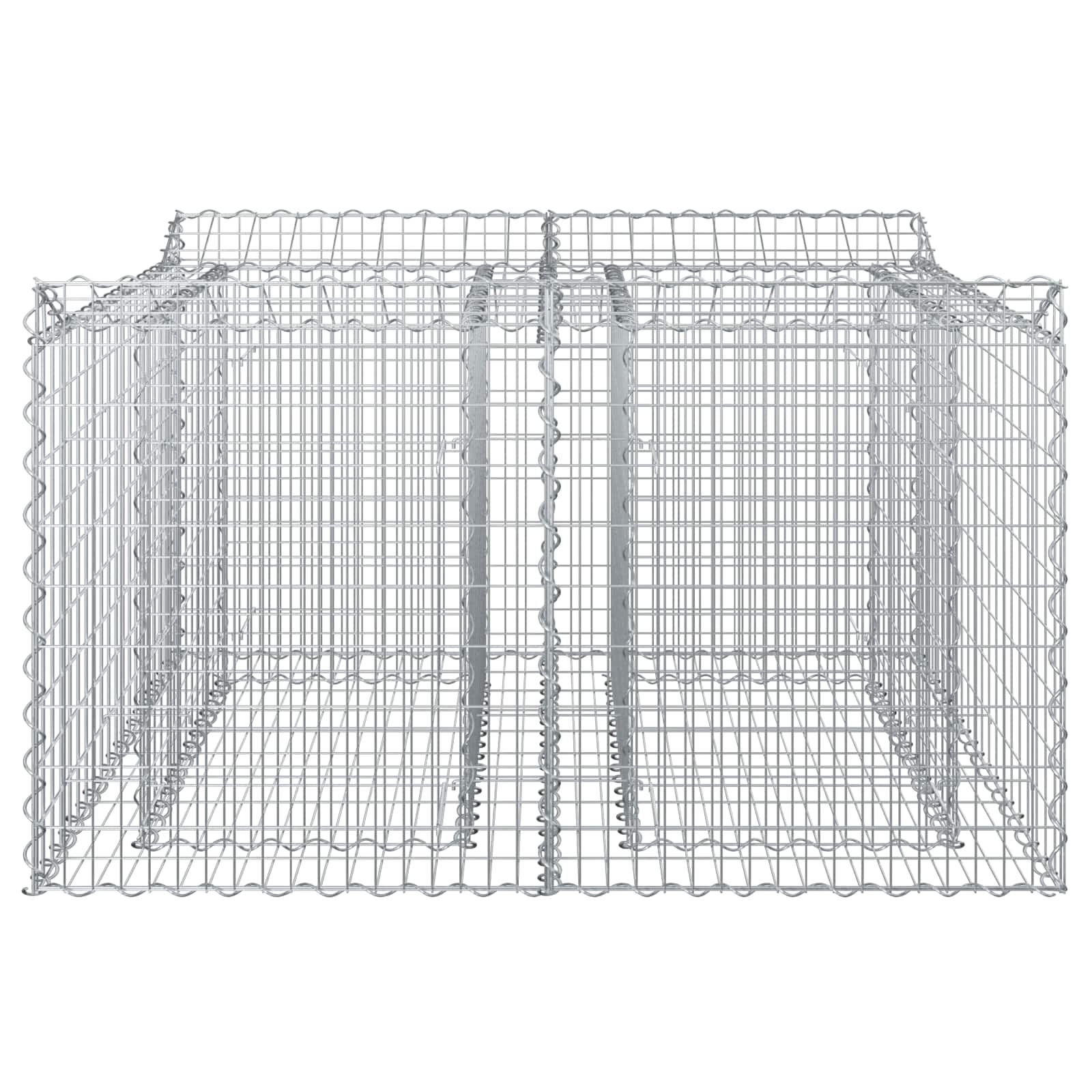 Ανασηκωμένο κρεβάτι gabion Ασημί 100 x 100 x 60 εκ. - Pakobazaar