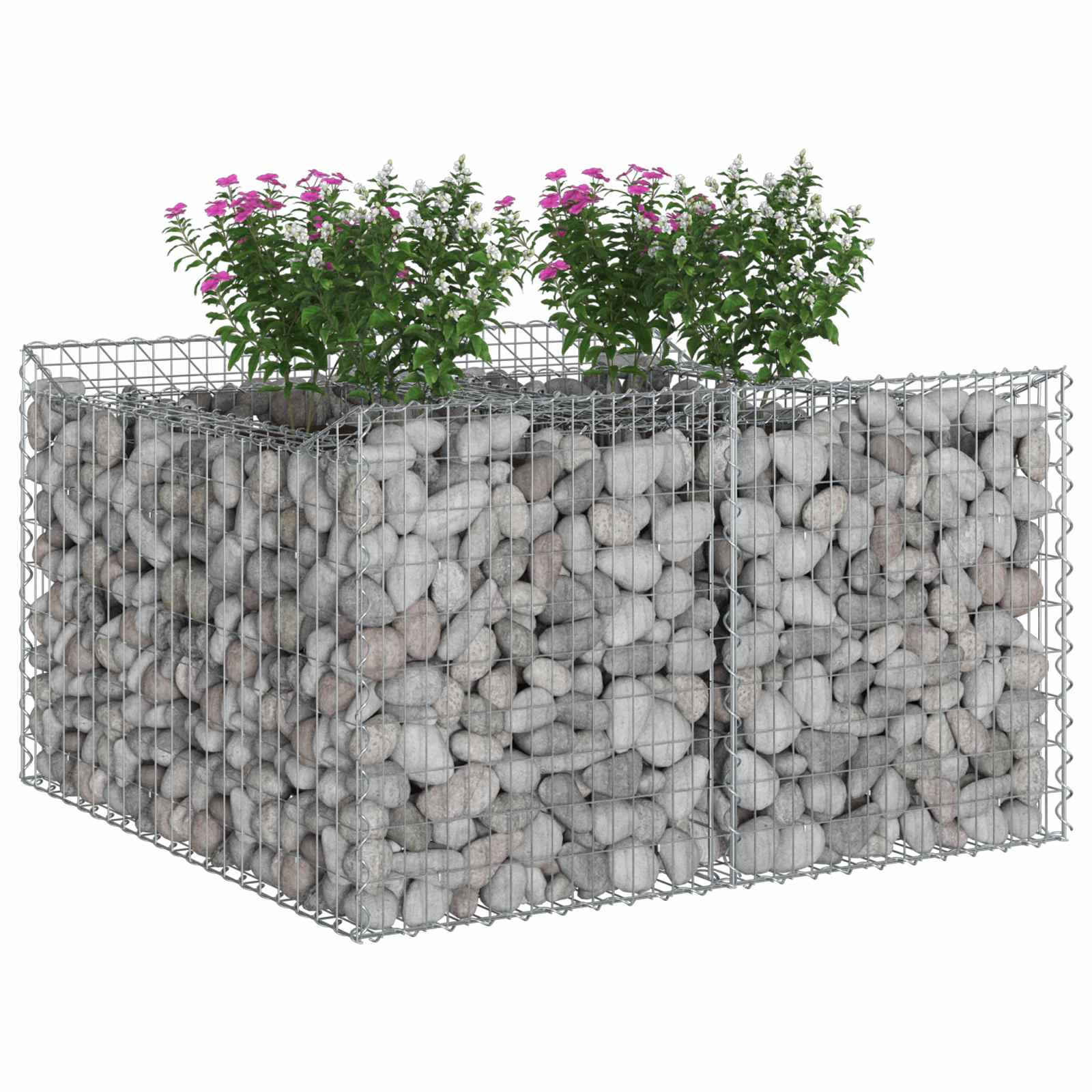 Ανασηκωμένο κρεβάτι gabion Ασημί 100 x 100 x 60 εκ. - Pakobazaar