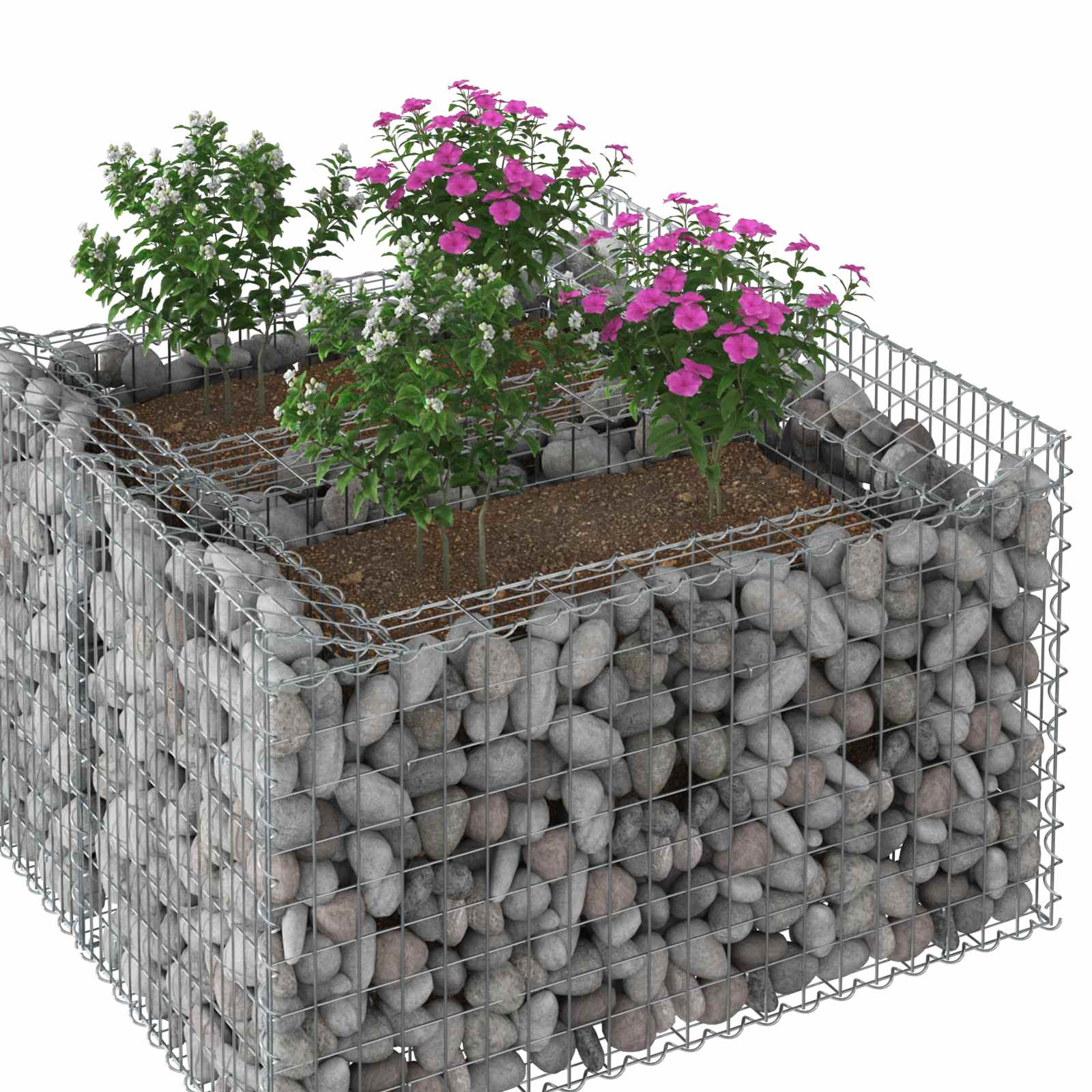 Ανασηκωμένο κρεβάτι gabion Ασημί 100 x 100 x 60 εκ. - Pakobazaar