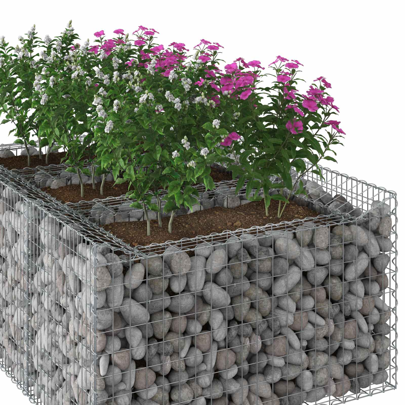 Ανασηκωμένο κρεβάτι gabion Ασημί 150 x 100 x 60 εκ - Pakobazaar