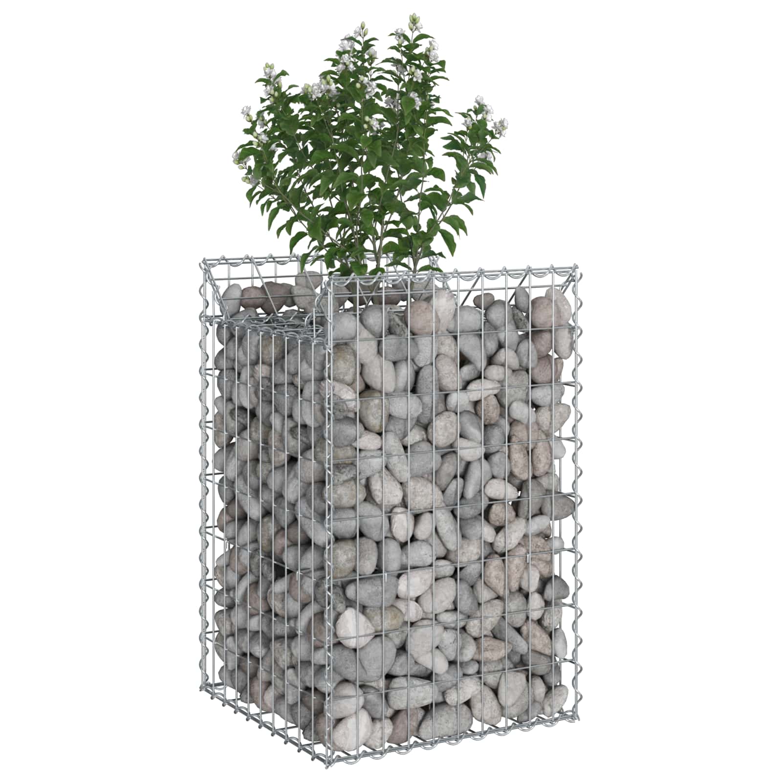 Ανασηκωμένο κρεβάτι gabion Ασημί 50 x 50 x 80 cm - Pakobazaar