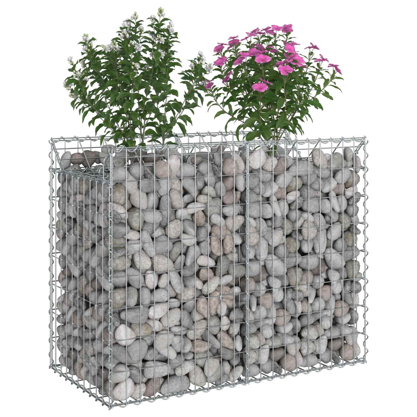 Ανασηκωμένο κρεβάτι gabion Ασημί 100 x 50 x 80 εκ - Pakobazaar