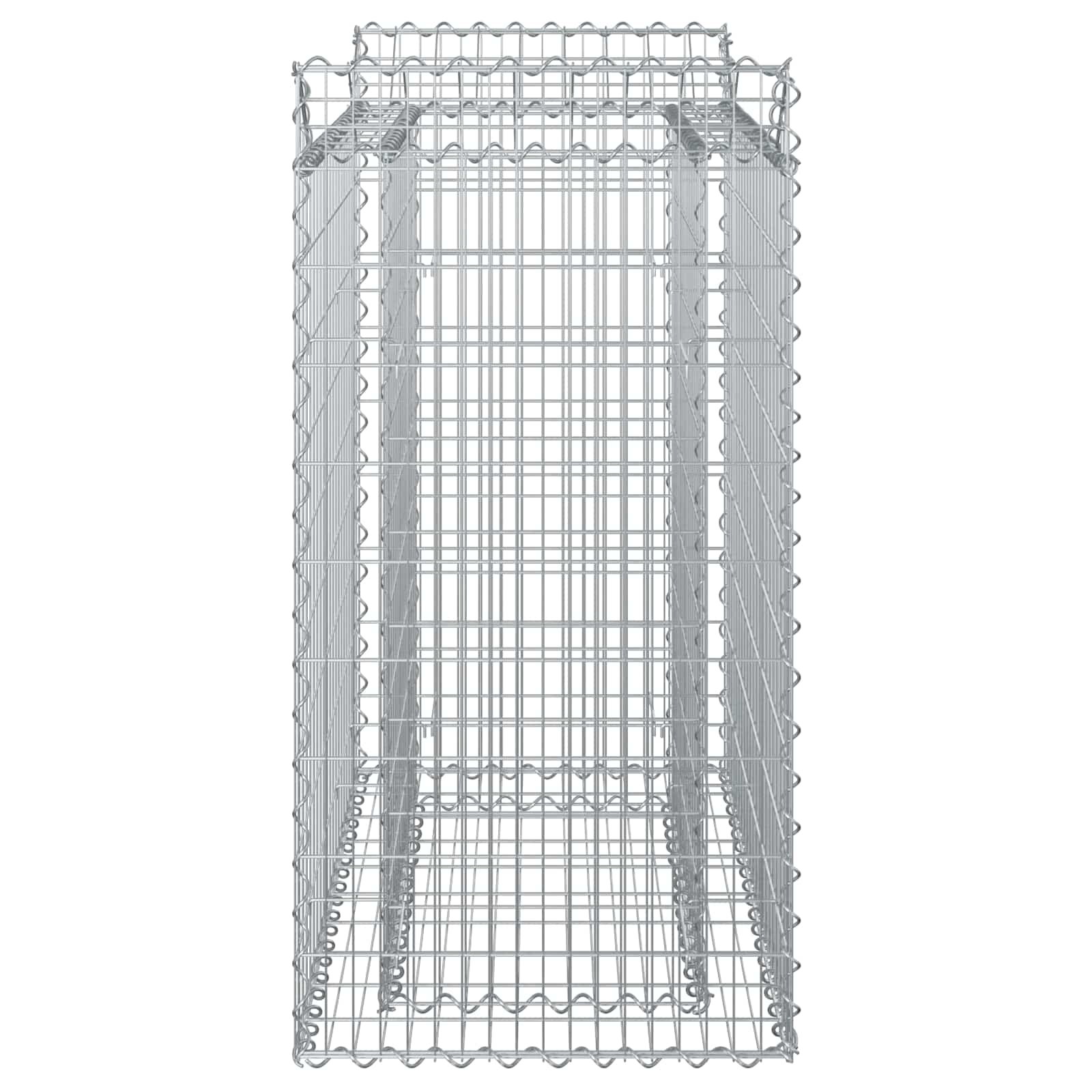 Ανασηκωμένο κρεβάτι gabion Ασημί 50 x 100 x 100 εκ - Pakobazaar