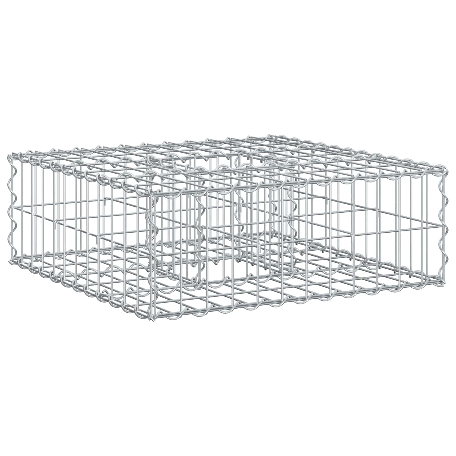 Ανασηκωμένο κρεβάτι gabion Ασημί 60 x 60 x 20 εκ - Pakobazaar