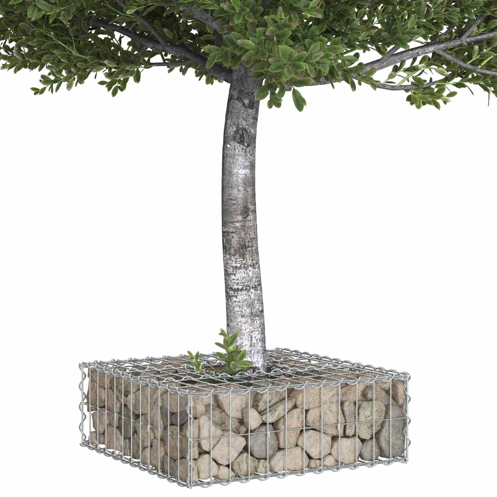 Ανασηκωμένο κρεβάτι gabion Ασημί 60 x 60 x 20 εκ - Pakobazaar