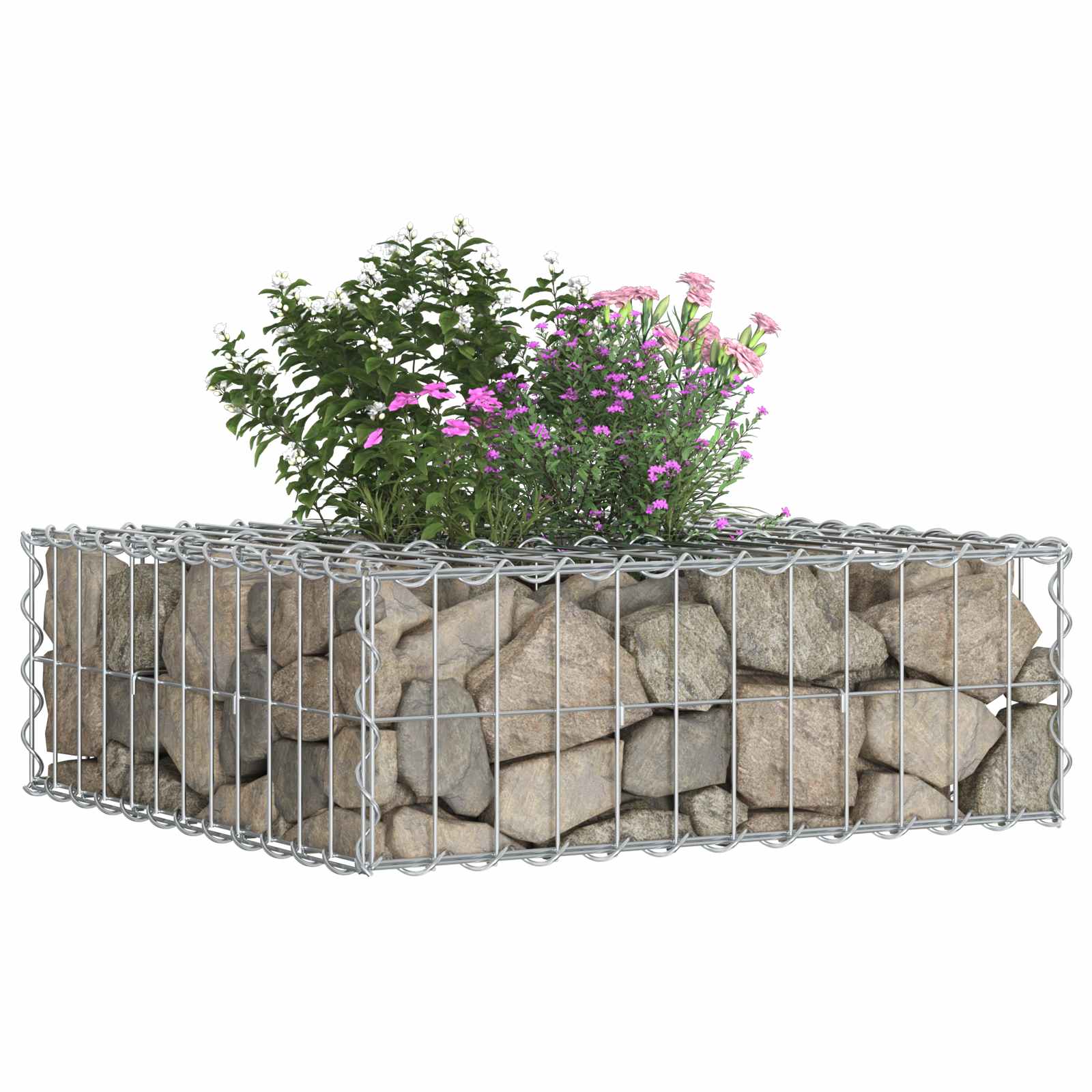 Ανασηκωμένο κρεβάτι gabion Ασημί 60 x 60 x 20 εκ - Pakobazaar