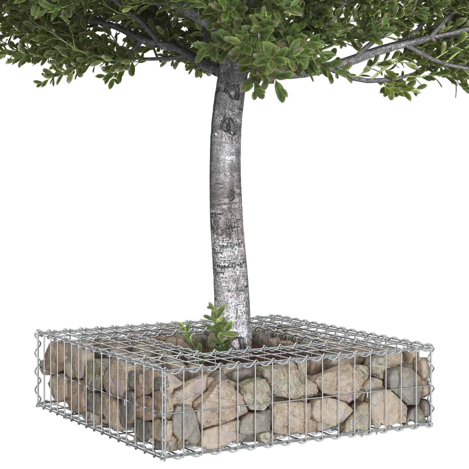 Ανασηκωμένο κρεβάτι gabion Ασημί 80 x 80 x 20 cm - Pakobazaar
