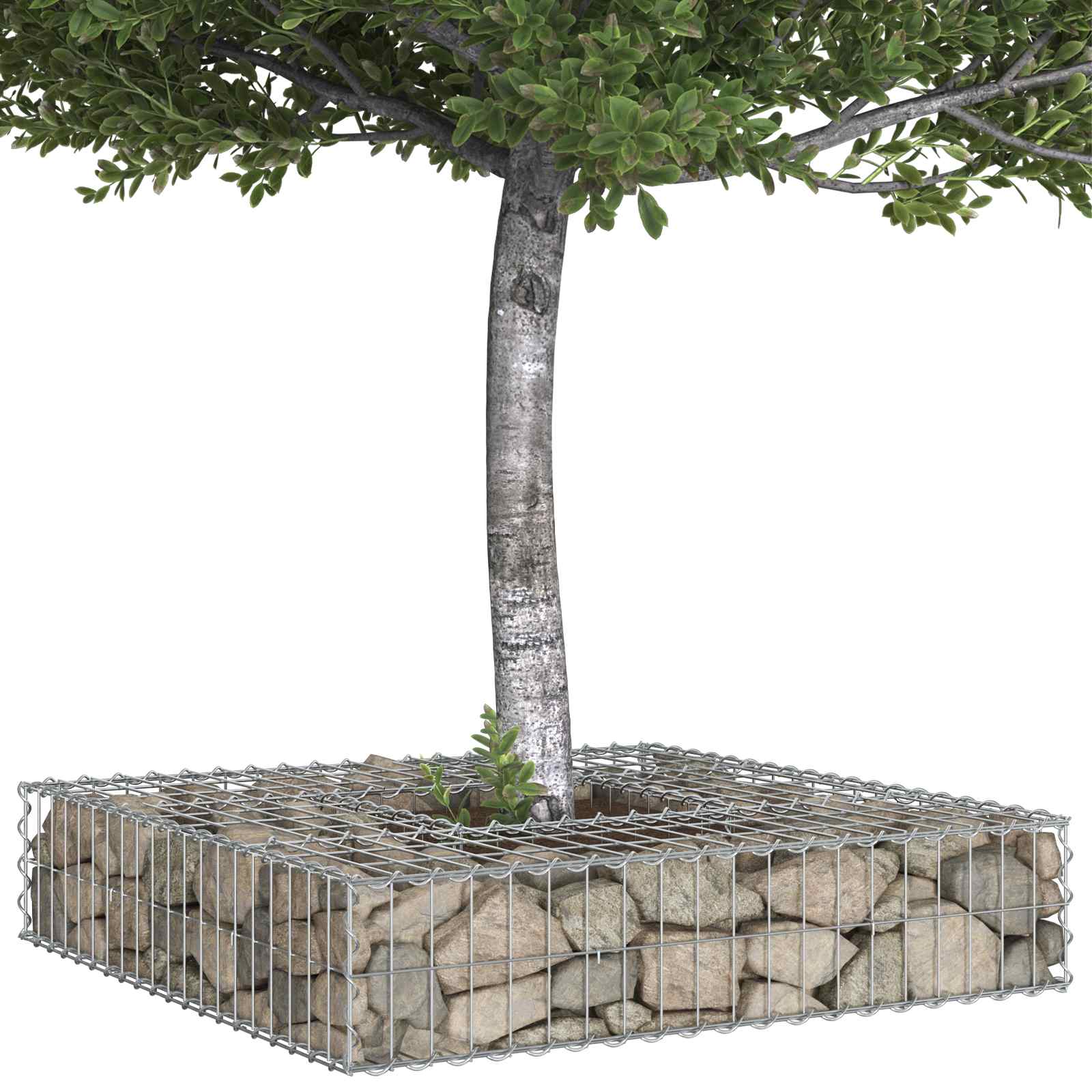 Ανασηκωμένο κρεβάτι gabion Ασημί 100 x 100 x 20 cm - Pakobazaar