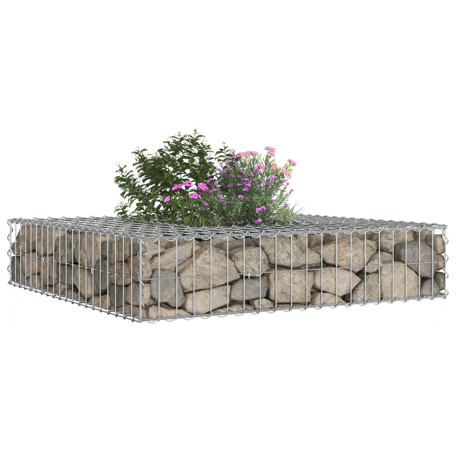 Ανασηκωμένο κρεβάτι gabion Ασημί 100 x 100 x 20 cm - Pakobazaar