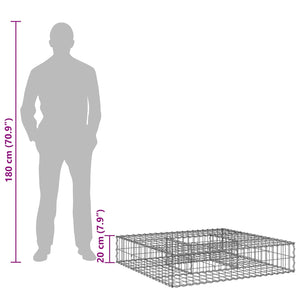 Ανασηκωμένο κρεβάτι gabion Ασημί 100 x 100 x 20 cm - Pakobazaar