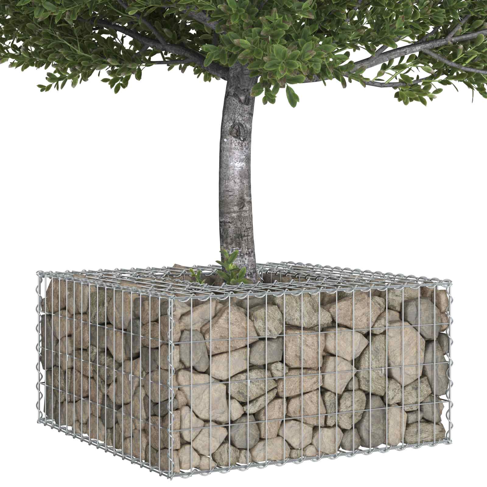 Ανασηκωμένο κρεβάτι gabion Ασημί 80 x 80 x 40 cm - Pakobazaar
