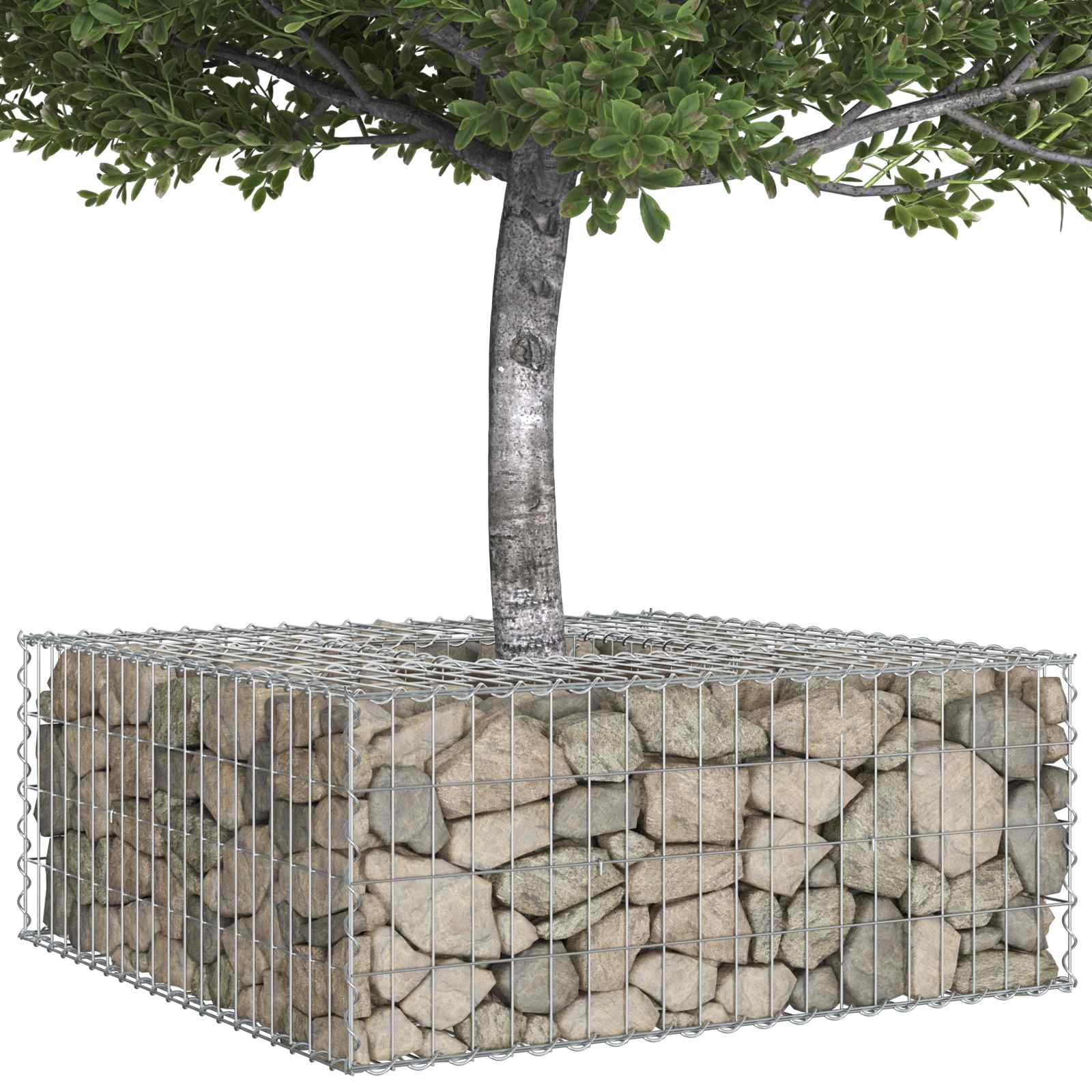 Ανασηκωμένο κρεβάτι gabion Ασημί 100 x 100 x 40 cm - Pakobazaar