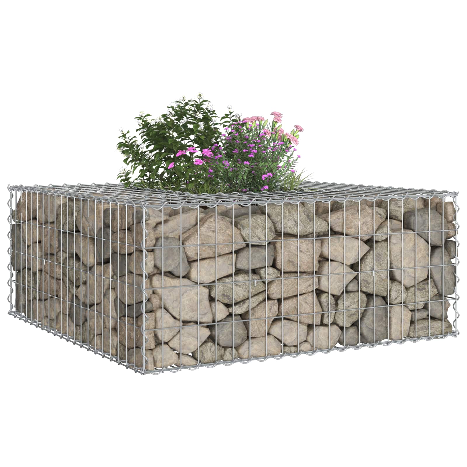 Ανασηκωμένο κρεβάτι gabion Ασημί 100 x 100 x 40 cm - Pakobazaar