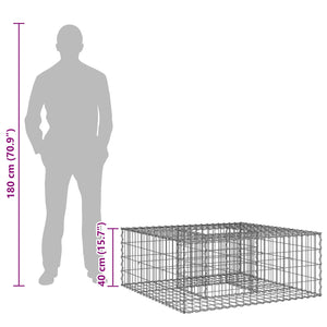 Ανασηκωμένο κρεβάτι gabion Ασημί 100 x 100 x 40 cm - Pakobazaar