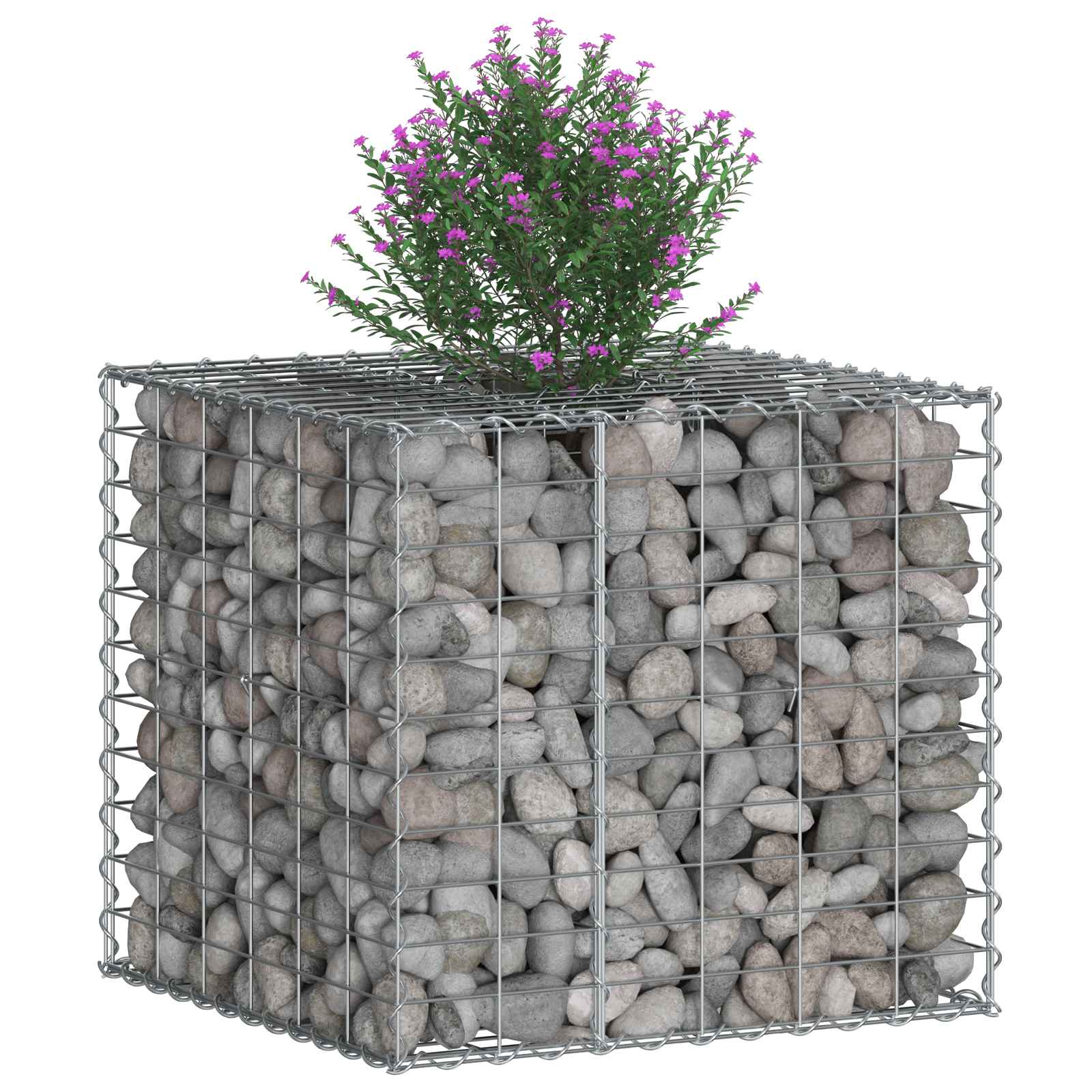 Ανασηκωμένο κρεβάτι gabion Ασημί 60 x 60 x 55 εκ - Pakobazaar