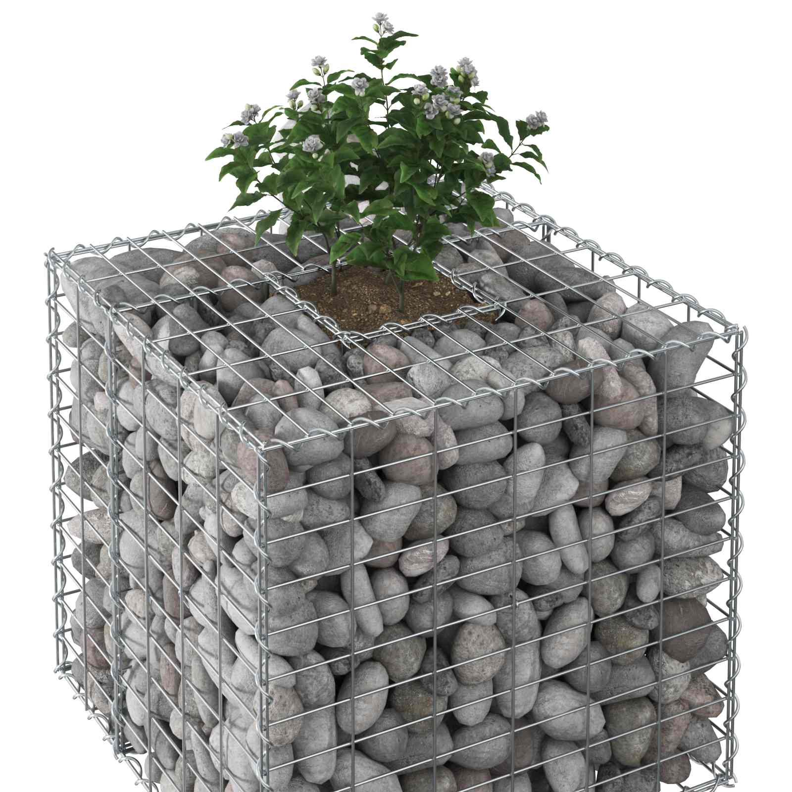 Ανασηκωμένο κρεβάτι gabion Ασημί 60 x 60 x 55 εκ - Pakobazaar