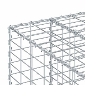 Ανασηκωμένο κρεβάτι gabion Ασημί 100 x 60 x 55 εκ - Pakobazaar