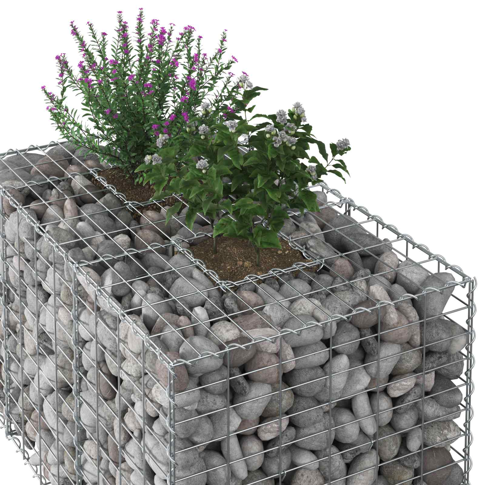 Ανασηκωμένο κρεβάτι gabion Ασημί 100 x 60 x 55 εκ - Pakobazaar