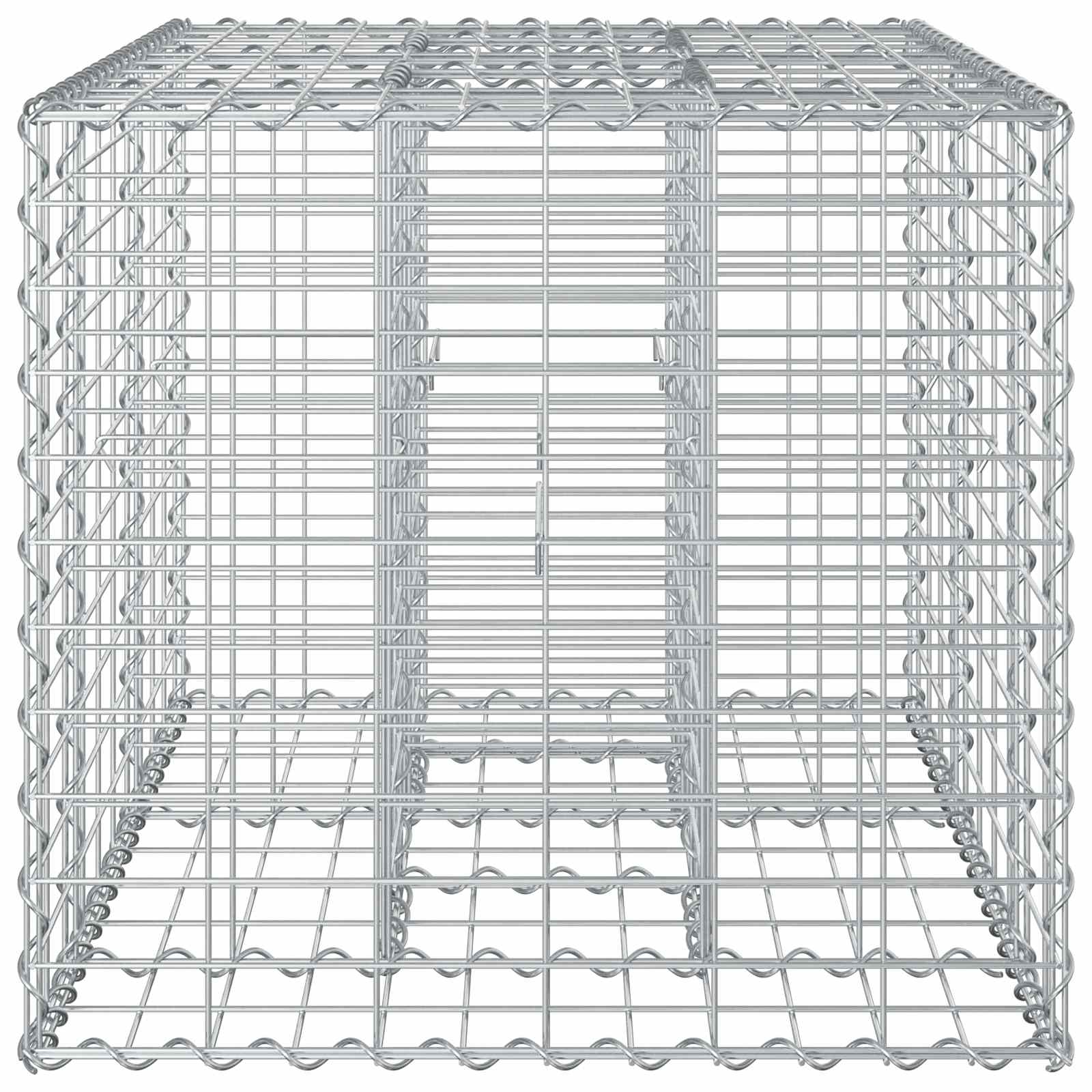 Ανασηκωμένο κρεβάτι gabion Ασημί 100 x 60 x 55 εκ - Pakobazaar