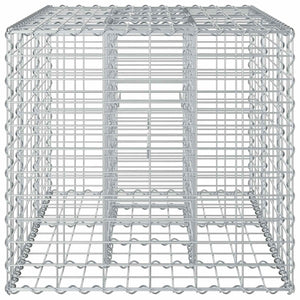 Ανασηκωμένο κρεβάτι gabion Ασημί 100 x 60 x 55 εκ - Pakobazaar