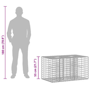 Ανασηκωμένο κρεβάτι gabion Ασημί 100 x 60 x 55 εκ - Pakobazaar