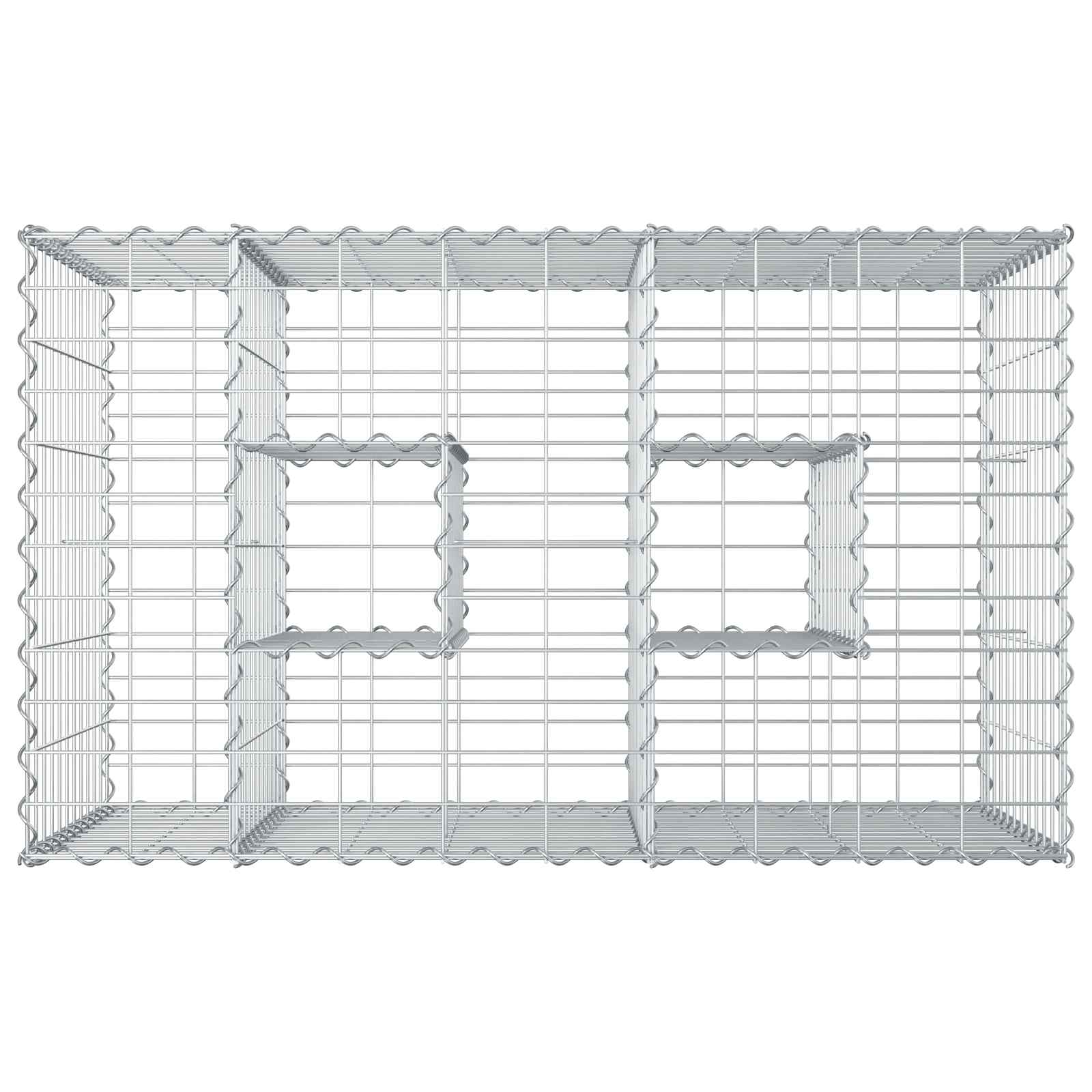 Ανασηκωμένο κρεβάτι gabion Ασημί 100 x 60 x 55 εκ - Pakobazaar