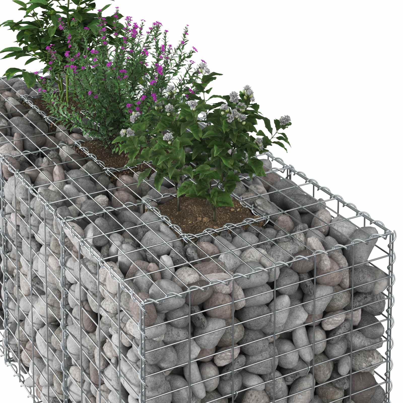 Ανασηκωμένο κρεβάτι gabion Ασημί 140 x 60 x 55 εκ - Pakobazaar