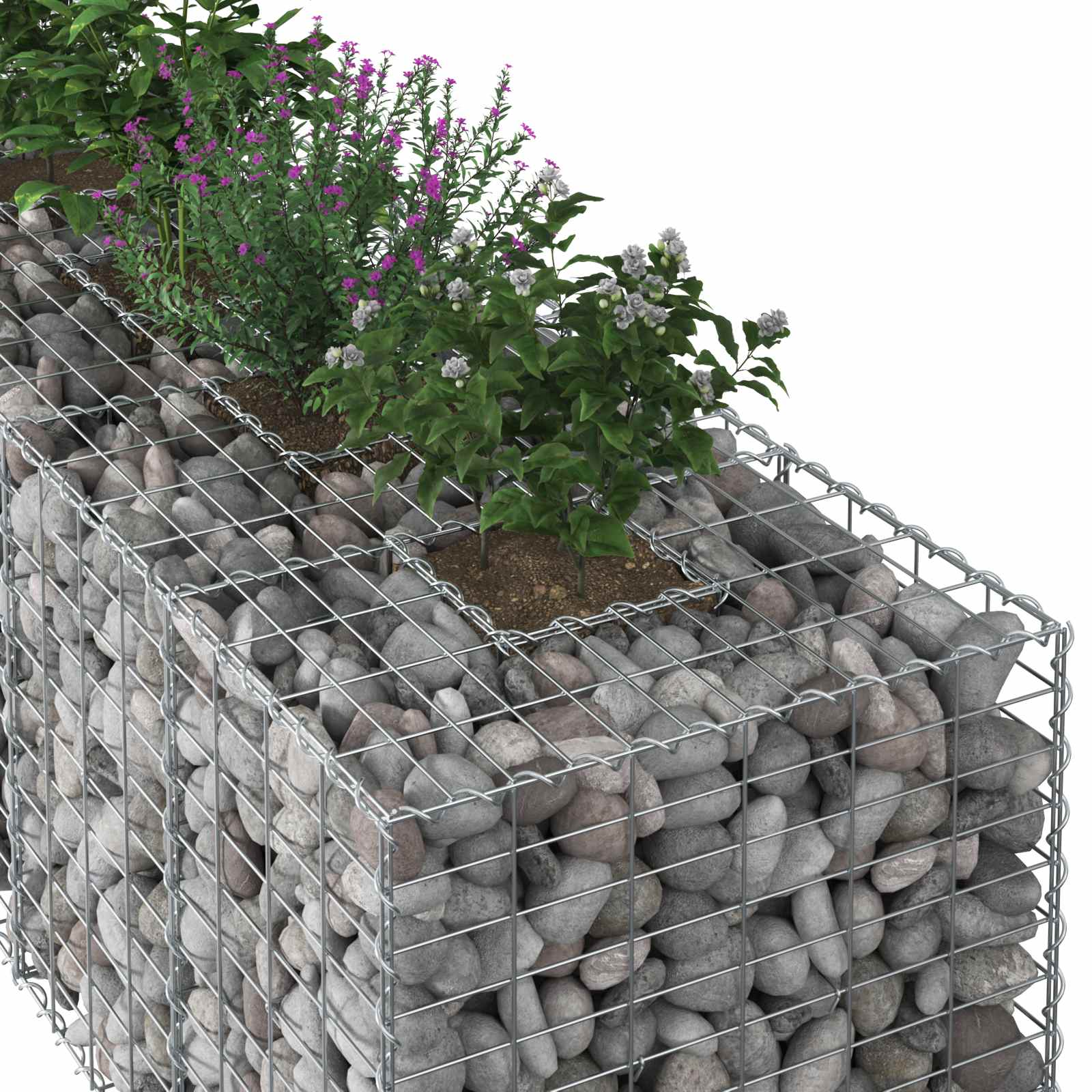 Ανασηκωμένο κρεβάτι gabion Ασημί 180 x 60 x 55 εκ - Pakobazaar