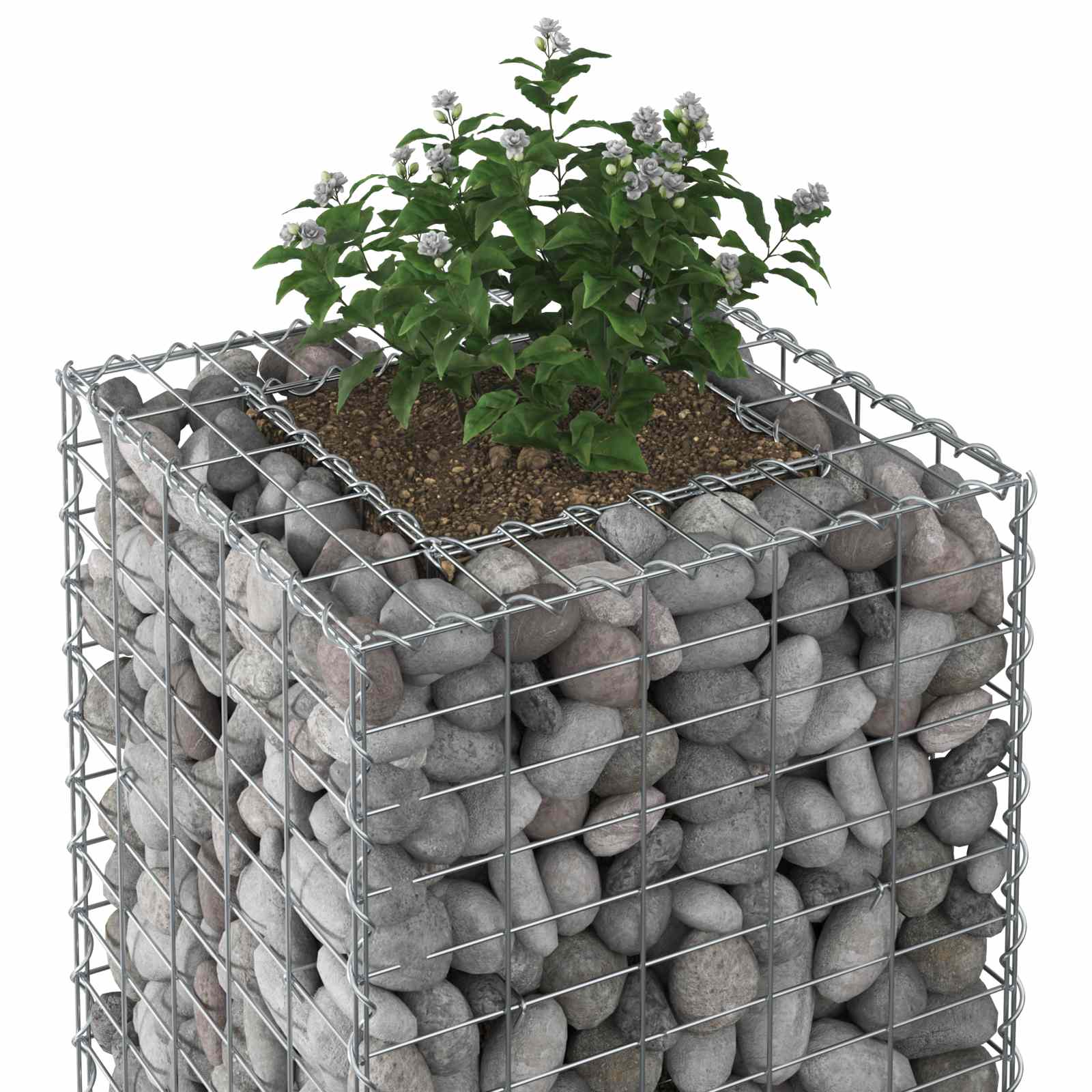 Ανασηκωμένο κρεβάτι gabion Ασημί 50 x 50 x 150 εκ - Pakobazaar