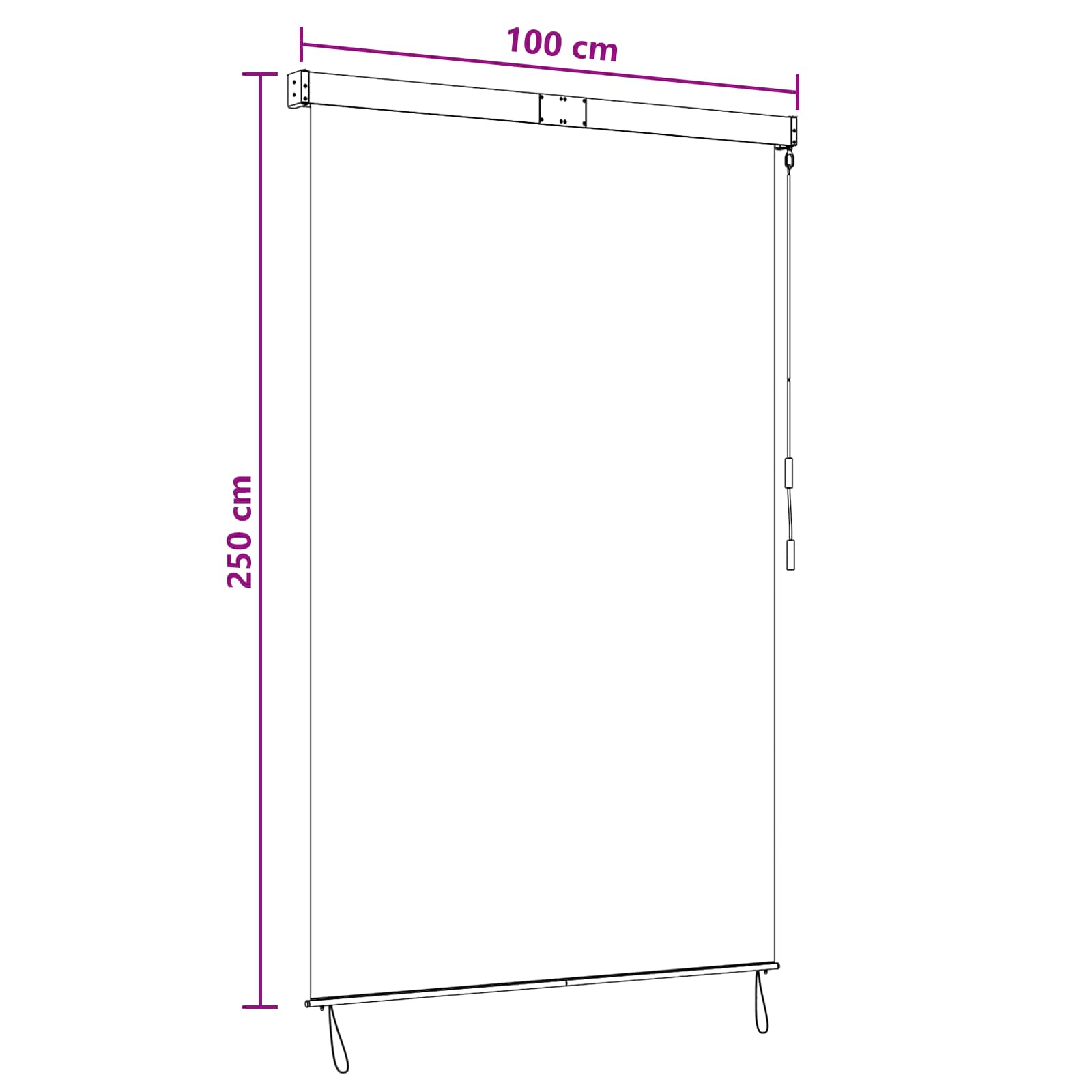 Ρόλερ Μαύρο 100 x 250 cm Ύφασμα και Αλουμίνιο - Pakobazaar