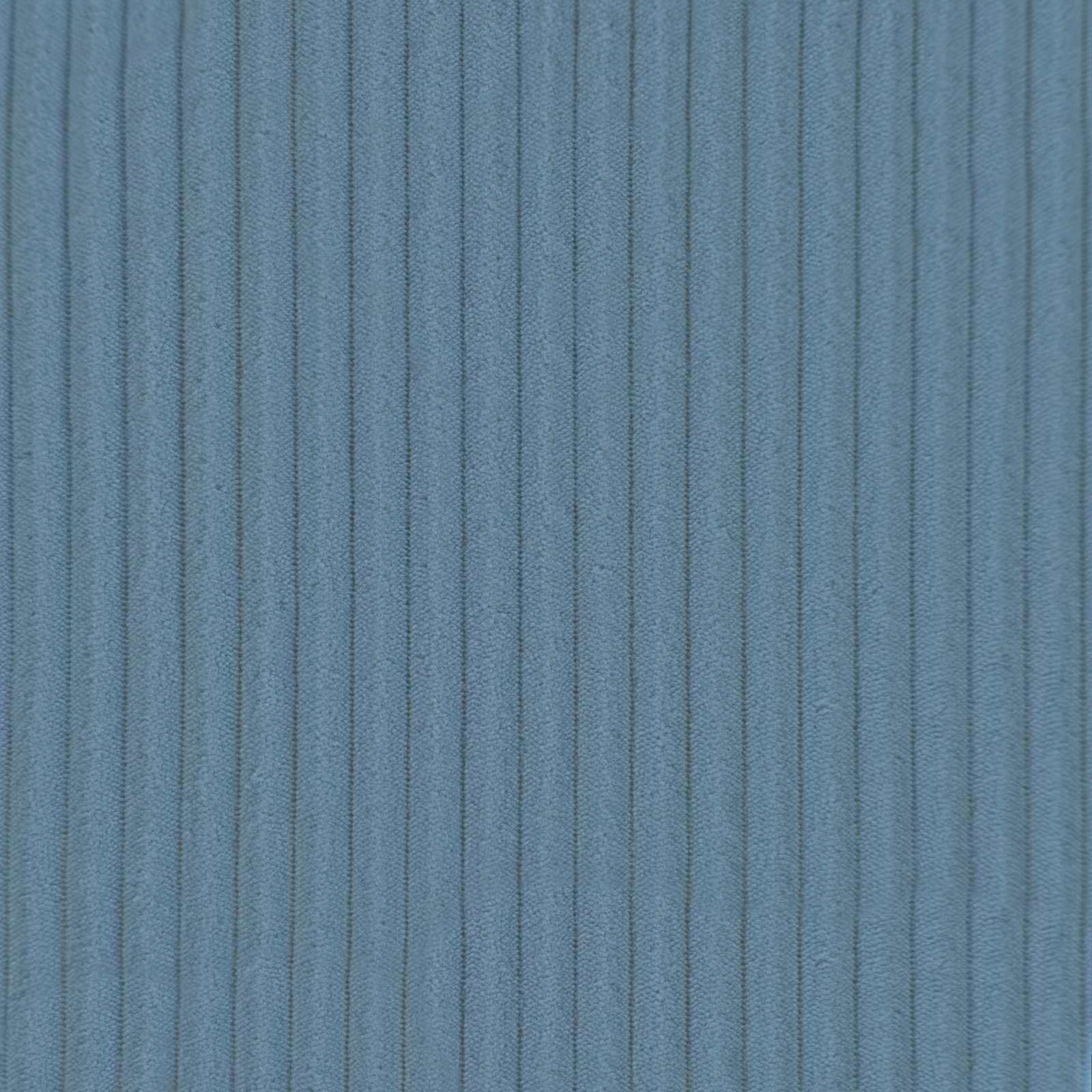 Κάλυμμα Μαξιλαριού 2 pcs HEERLEN Μπλε 80 x 80 cm κορντουρόι - Pakobazaar