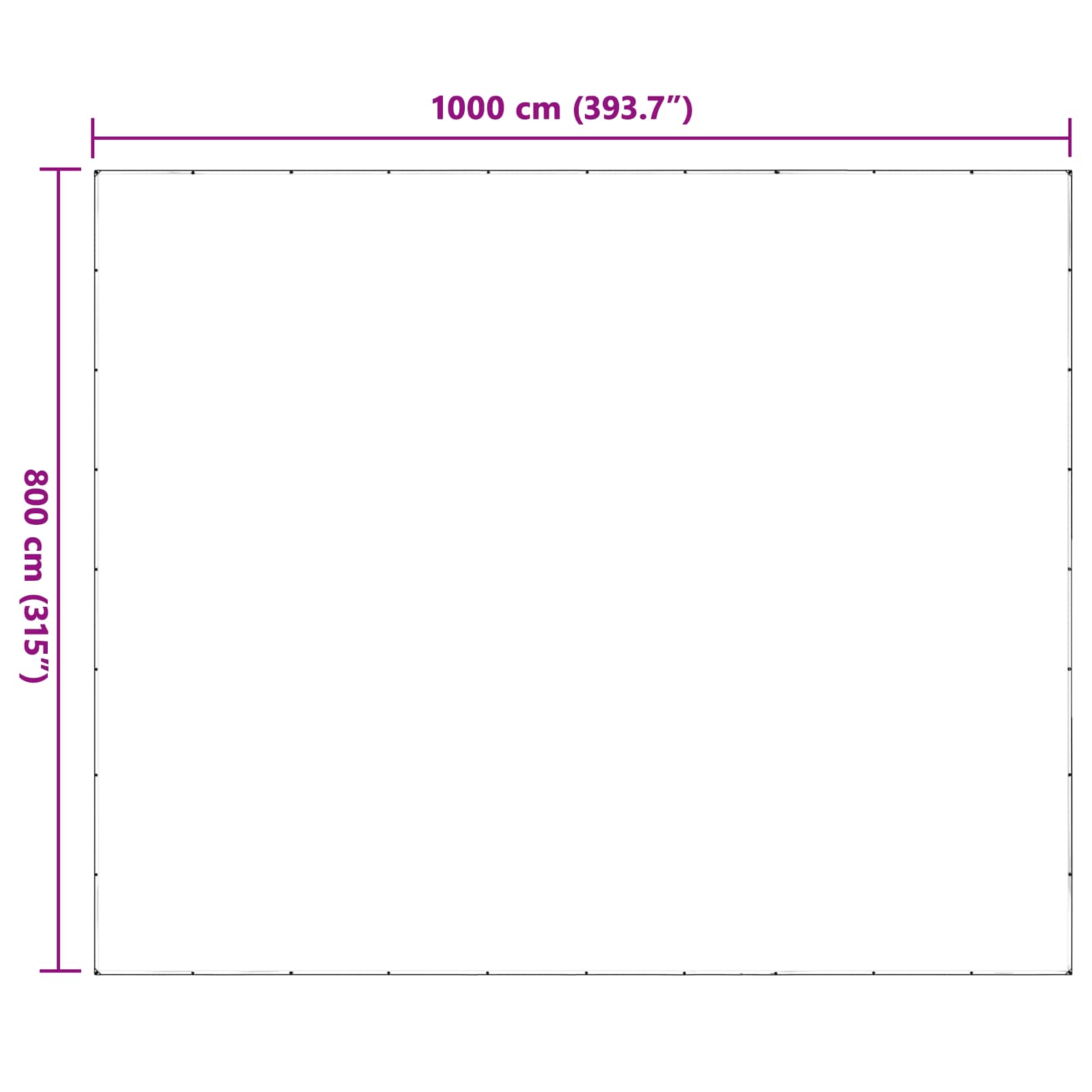 Τεντόπανα με Θηλιές Διαφανές 8 x 10 m Πολυαιθυλένιο - Pakobazaar