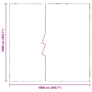 Τεντόπανα με Θηλιές Διαφανές 10 x 10 m Πολυαιθυλένιο - Pakobazaar