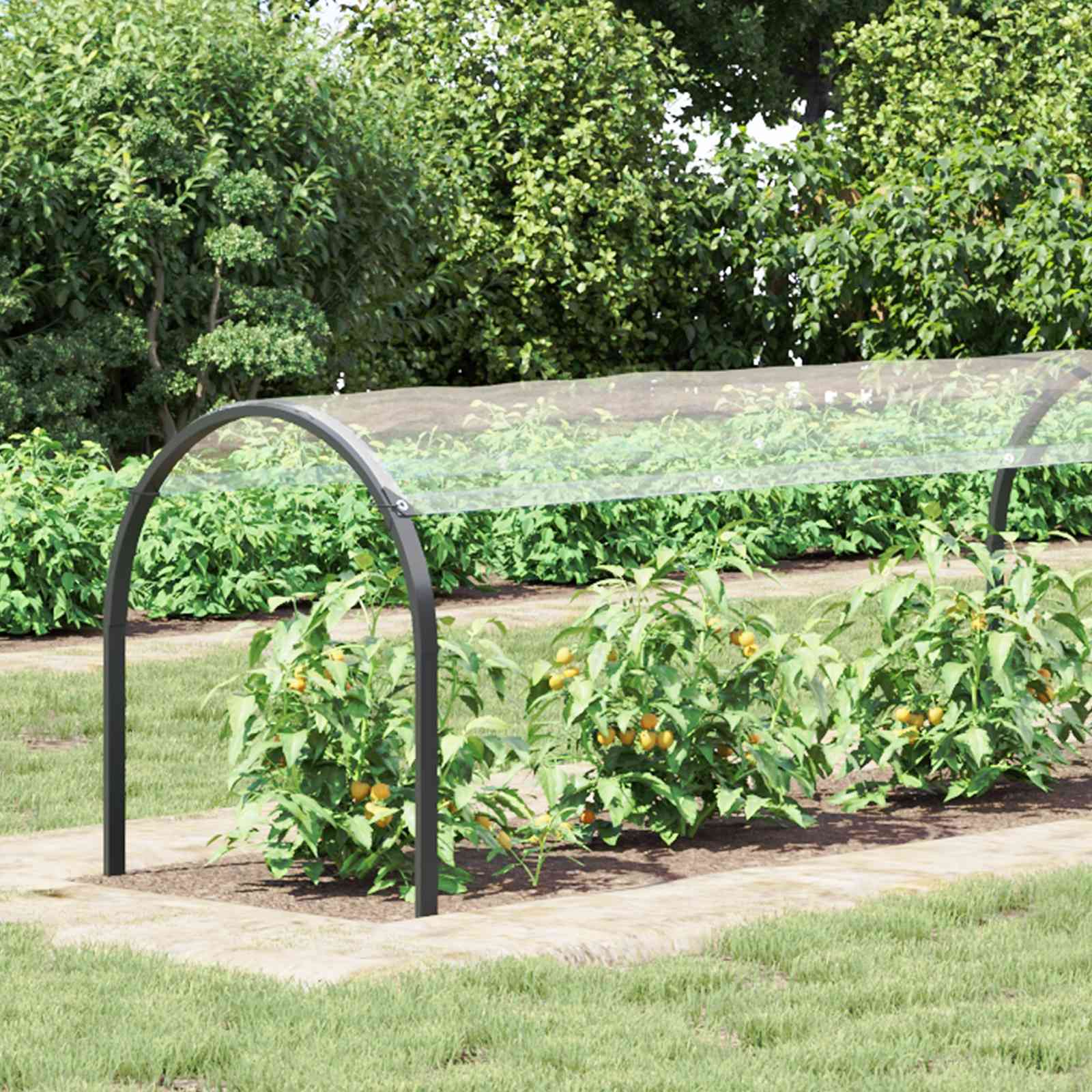 Κάλυμμα Φυτών Διαφανές 10 x 1,5 m PVC - Pakobazaar