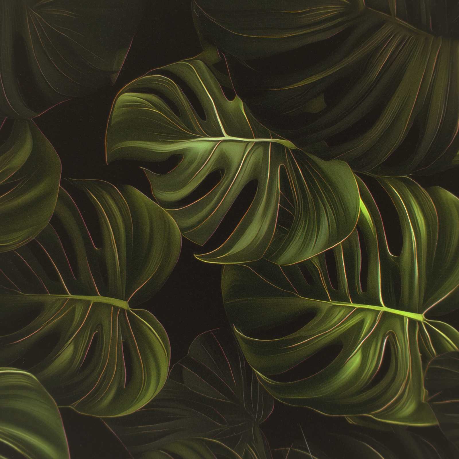 Κομοδίνο ELBURG 2 τμχ. Μαύρη Δρυς 36 x 33 x 51 εκ. - Pakobazaar