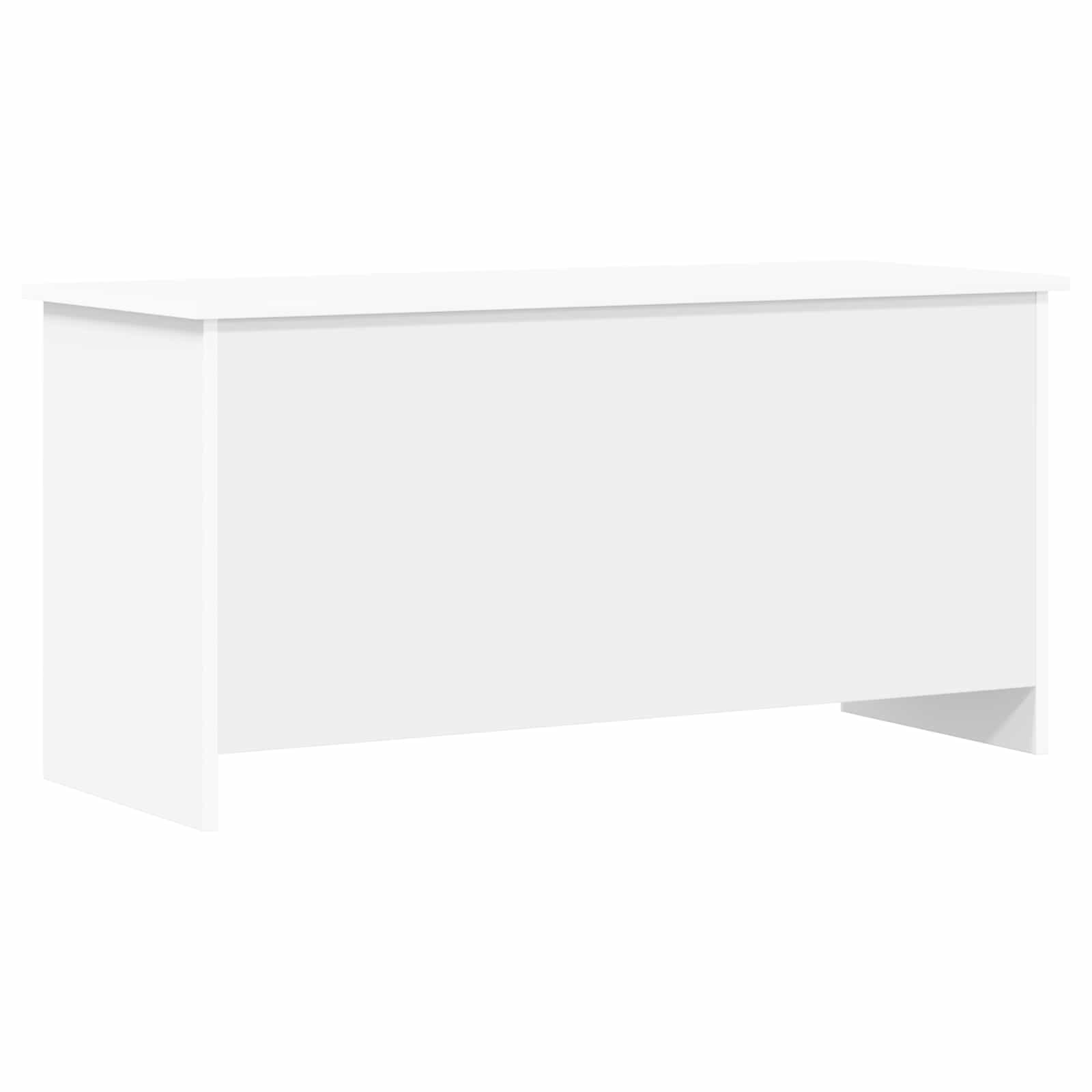 Θήκη Αποθήκευσης Λευκό 100 x 40 x 50 cm Επεξεργασμένο Ξύλο