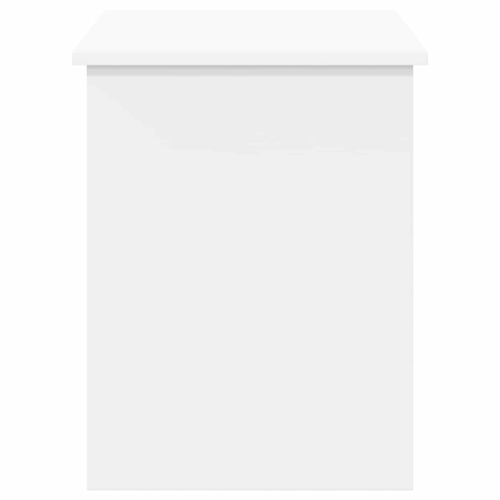 Θήκη Αποθήκευσης Λευκό 100 x 40 x 50 cm Επεξεργασμένο Ξύλο
