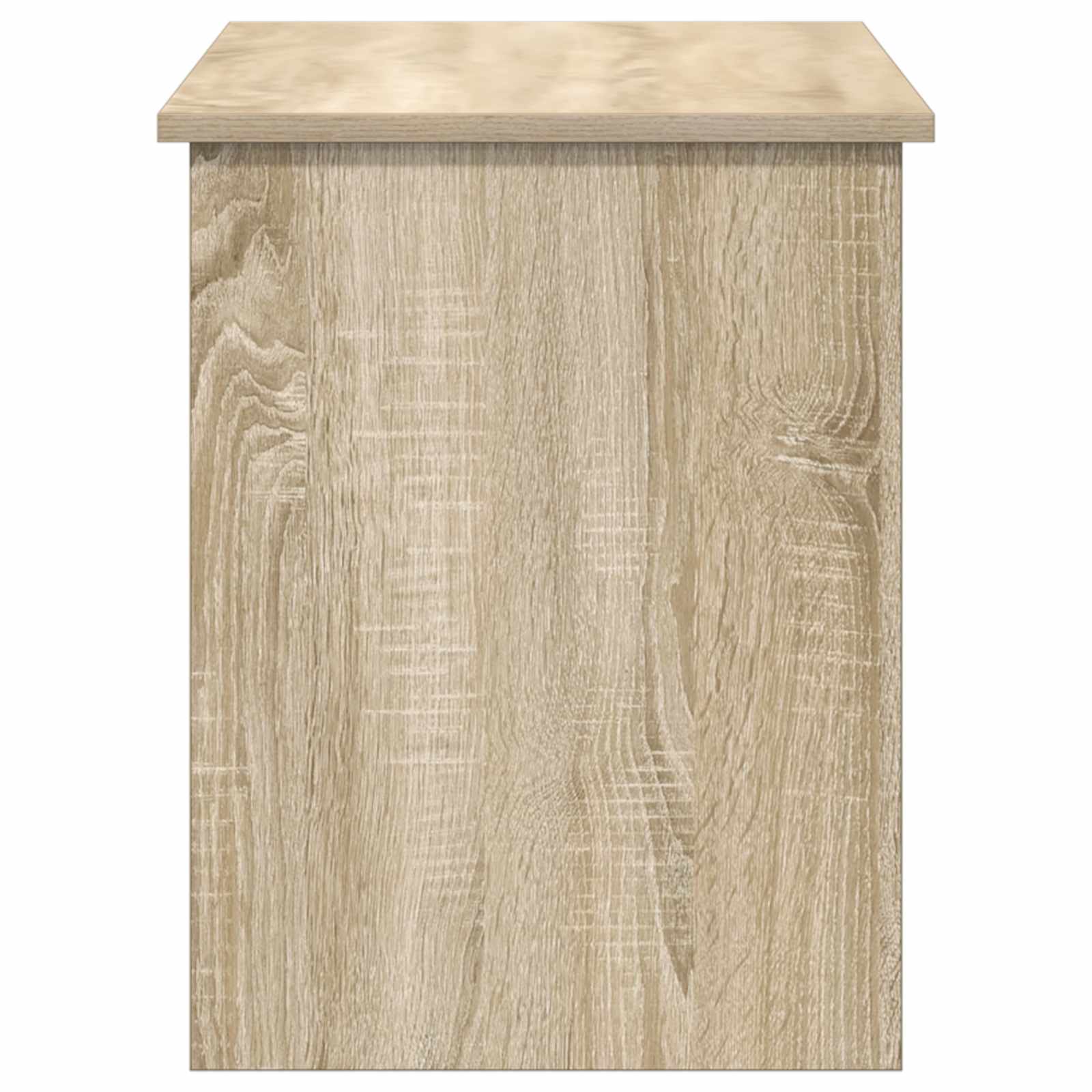 Θήκη Αποθήκευσης με αποθήκευση Sonoma Δρυς 100 x 40 x 50 cm