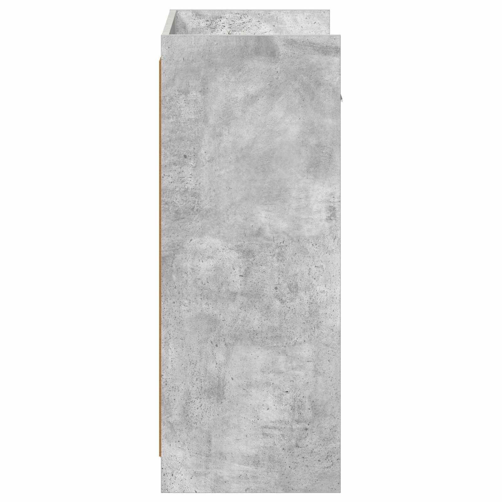 Ντουλάπα Παπουτσιών Γκρι Σκυροδέματος 48 x 36 x 92 εκ