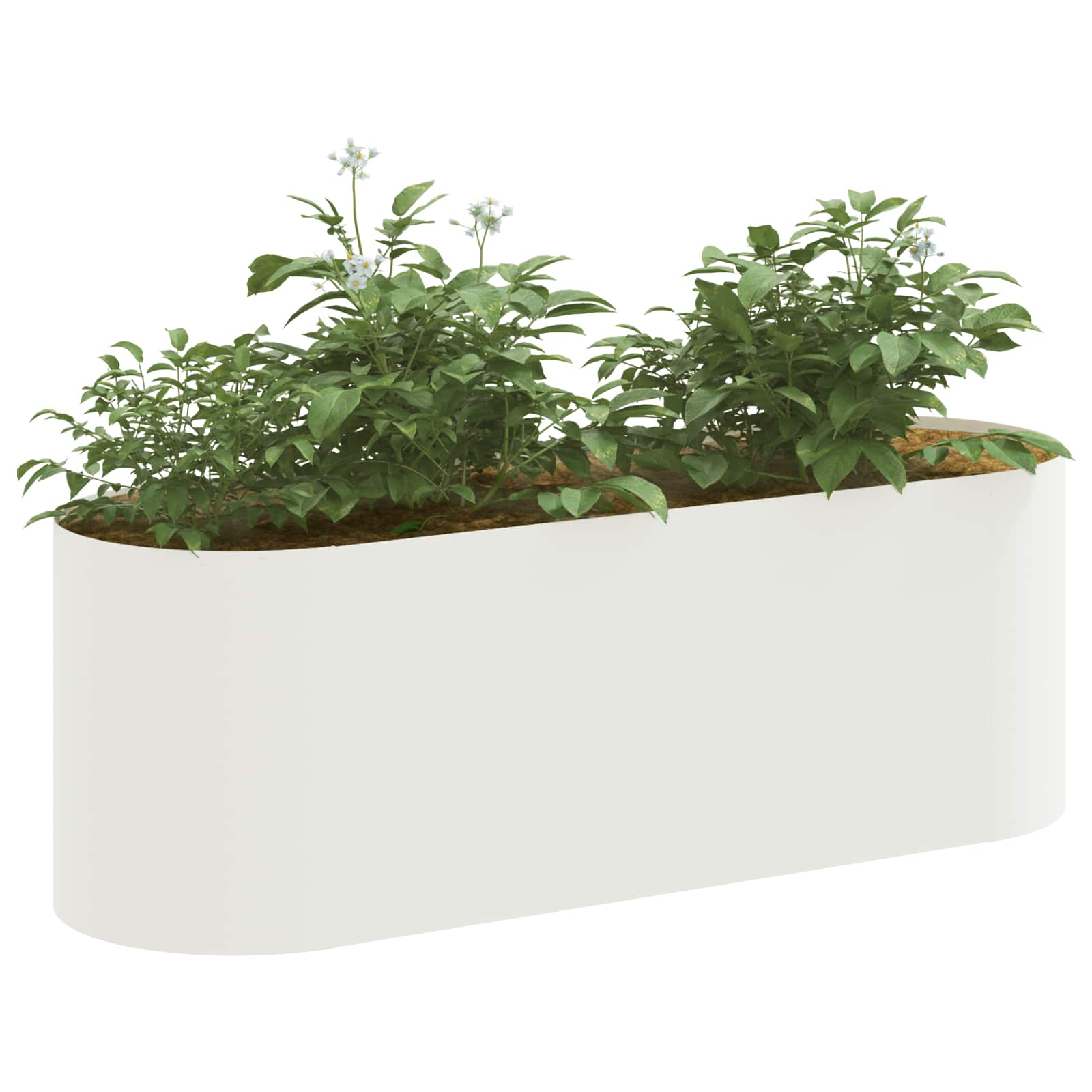 Υψωμένο Κρεβάτι Κήπου Λευκό 120 x 40 x 40 εκ - Pakobazaar