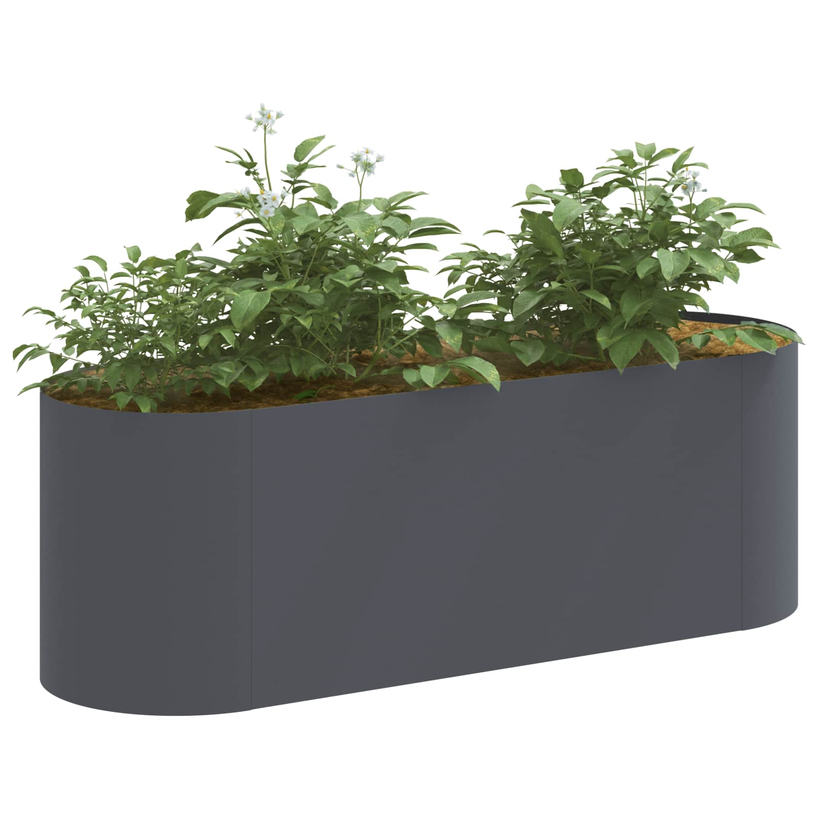 Υψωμένο Κρεβάτι Κήπου Ανθρακί 120 x 40 x 40 εκ - Pakobazaar