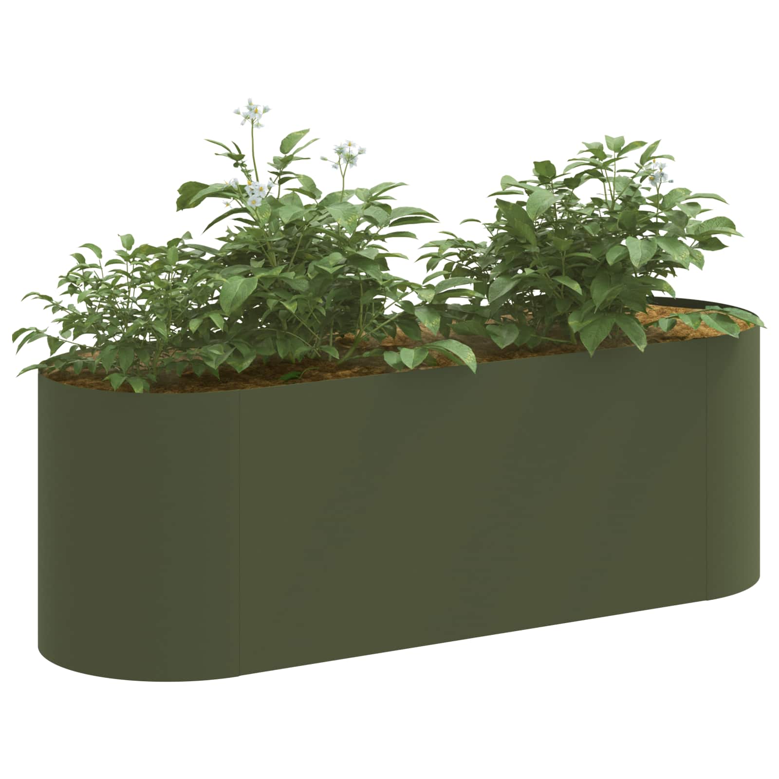 Υψωμένο Κρεβάτι Κήπου Λαδί 120 x 40 x 40 εκ. - Pakobazaar