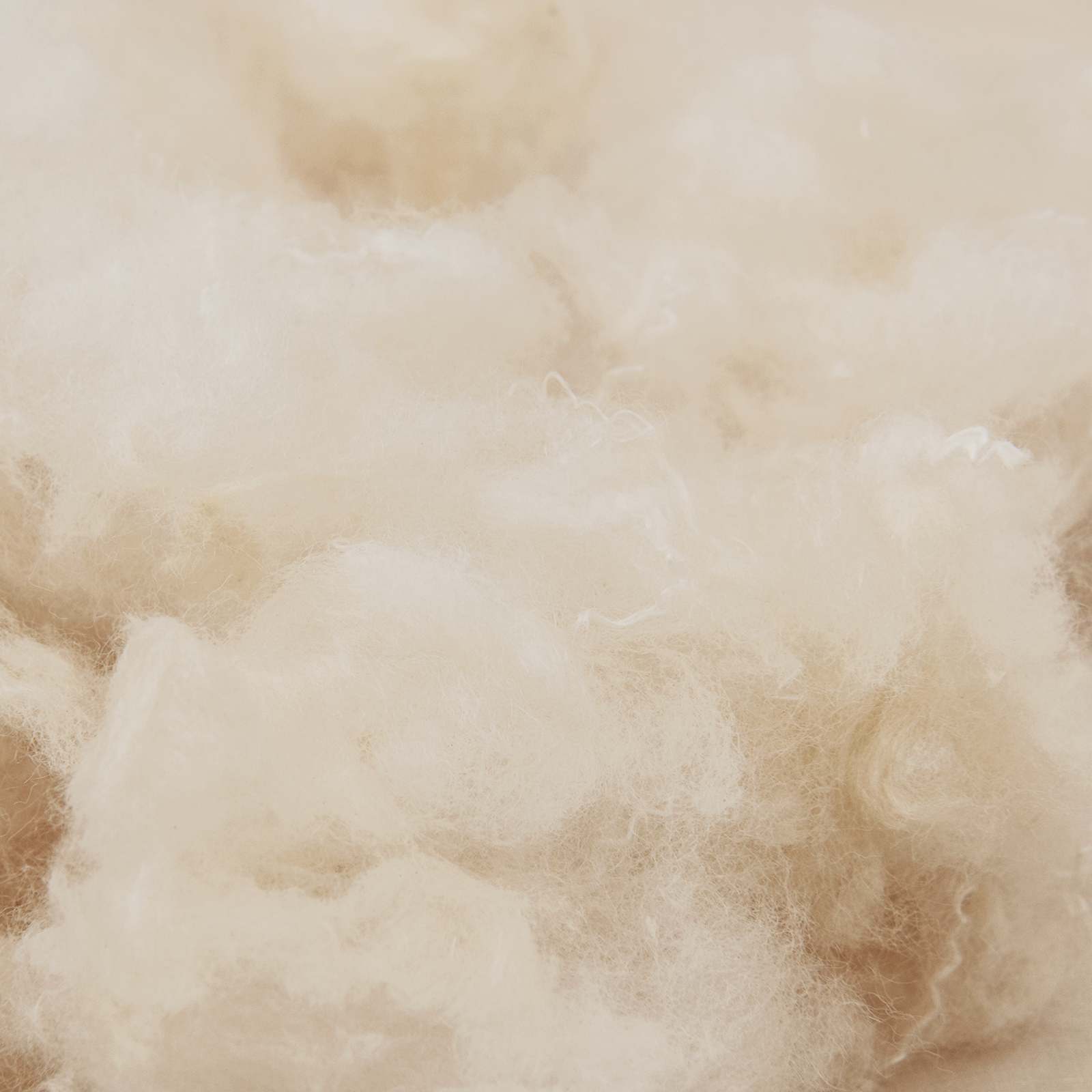 Σετ Παπλωμάτων 2 τμχ. 240 x 220 cm Καποκ και Πολυεστέρας Μπεζ
